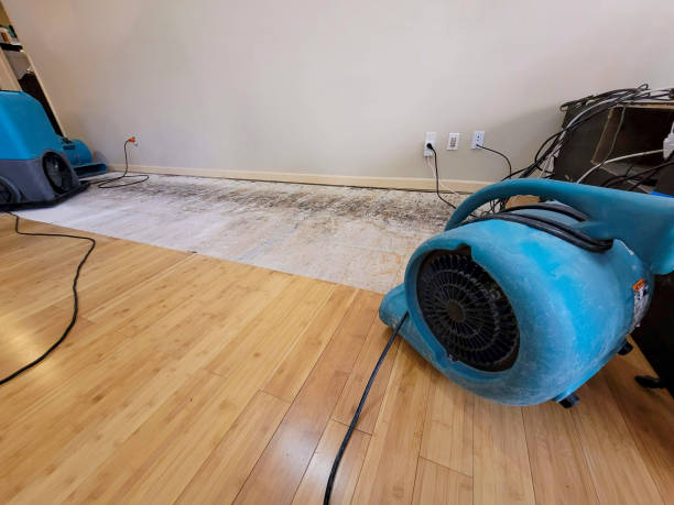 Professional Basement Flood Cleanup technician working in Plattsmouth, NE